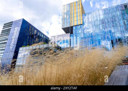 Grünflächen an um Gebäude, hier an der Hogeschool Inholland Rotterdam, Pflanzenbeete an Durchgängen, begrünte Wände und Dächer, Rotterdam, Niederlande Grünflächen Innnestadt *** Grünflächen um Gebäude, hier an der Hogeschool Inholland Rotterdam, Pflanzbeete an Durchgängen, Grünwände und Dächer, Rotterdam, Niederlande Grünflächen in der Innenstadt Stockfoto