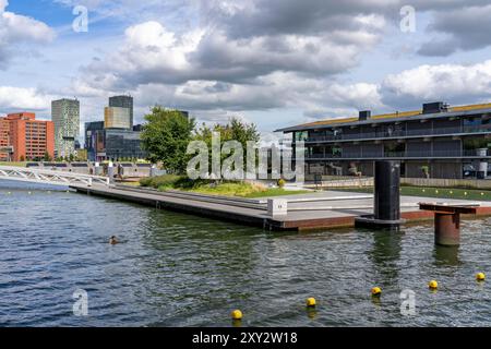 Das Floating Office Rotterdam gilt als das größte schwimmende Bürogebäude der Welt, erster Teil des schwimmenden Parks, im 28 ha großen Rijnhaven Stockfoto