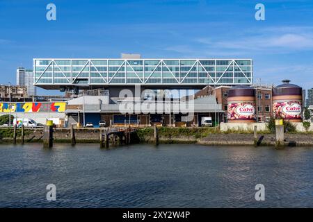 Das Gelände der ehemaligen Margarinefabrik und Hauptniederlassung von Unilever im Stadtteil Feijenoord, hier soll ein neues Stadtviertel mit bis zu 1200 Wohnungen entstehen, sowie Kultur und Gewerbeflächen, genannt de Kaai, Teile der vorhandenen Gebäude sollen integriert werden, wie der Neubau de Burg, Rotterdam, Niederlande Unilever Gelände *** das Gelände der ehemaligen Margarinefabrik und der Hauptsitz von Unilever im Stadtteil Feijenoord, in dem ein neues Stadtviertel mit bis zu 1.200 Wohnungen errichtet werden soll, ebenso wie kultureller und kommerzieller Raum, genannt de Kaai, Teile des bestehenden Bils Stockfoto