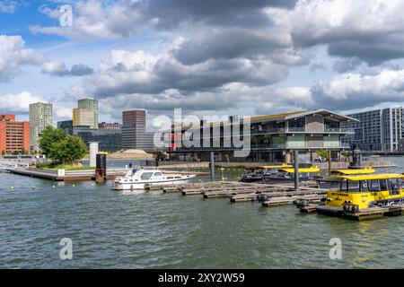 Das Floating Office Rotterdam gilt als das größte schwimmende Bürogebäude der Welt, erster Teil des schwimmenden Parks, im 28 ha großen Rijnhaven Stockfoto