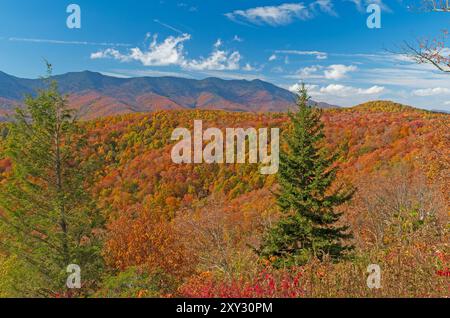 Panoramablick auf die Berge im Herbst auf dem Blue Ridge Parkway in North Carolina Stockfoto