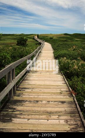 Eine hölzerne Promenade schlängelt sich durch üppige grüne Vegetation unter einem teilweise bewölkten Himmel und führt in die Ferne. Stockfoto