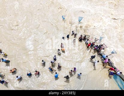 Feni, Chittagong, Bangladesch. August 2024. Die Einheimischen fischen mit handgefertigten Netzen an den Ufern des Flusses Feni und ignorieren dabei den starken Fluss von Hochwasser entlang des Muhuri-Projekts von Sonagazi Upazila. Das Muhuri Berigation Project ist das zweitgrößte Bewässerungsprojekt in Bangladesch. Es besteht aus einem Staudamm und einer Wasserkontrollanlage, die sich am Zusammenfluss der Flüsse Feni, Muhuri und Kalidas-Pahaliya befindet. (Kreditbild: © Muhammad Amdad Hossain/ZUMA Press Wire) NUR REDAKTIONELLE VERWENDUNG! Nicht für kommerzielle ZWECKE! Stockfoto