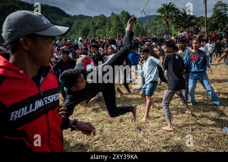 Toraja Utara, Süd-Sulawesi, Indonesien. August 2024. Eine Reihe von Männern treten sich gegenseitig, während sie die Sisemba-Tradition in Panggala, North Toraja Regency, South sulawesi, Indonesien, beibehalten. Am Donnerstag, 27. August 2024. Die Tradition ist ein Ausdruck der Dankbarkeit für die Kulturen und basiert auf der Überzeugung, dass die Veranstaltung sie für die bevorstehenden Arbeiten begeistern wird, um die nächsten reichlichen Ernten zu erhalten. Ohne Sisemba zu spielen, glauben die Leute von Tana Toraja, dass es zu Ernteversagen kommen wird. Die Tradition soll Verwandtschaftswerte aufrechterhalten. Teilnehmer mit fa Stockfoto