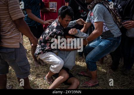 Toraja Utara, Süd-Sulawesi, Indonesien. August 2024. Ein Bürger wurde verletzt, als er die Sisemba-Tradition in Panggala, North Toraja Regency, South sulawesi, Indonesien innehatte. Am Donnerstag, 27. August 2024. Die Tradition ist ein Ausdruck der Dankbarkeit für die Kulturen und basiert auf der Überzeugung, dass die Veranstaltung sie für die bevorstehenden Arbeiten begeistern wird, um die nächsten reichlichen Ernten zu erhalten. Ohne Sisemba zu spielen, glauben die Leute von Tana Toraja, dass es zu Ernteversagen kommen wird. Die Tradition soll Verwandtschaftswerte aufrechterhalten. Teilnehmer, die gefallen sind, sind verboten Stockfoto