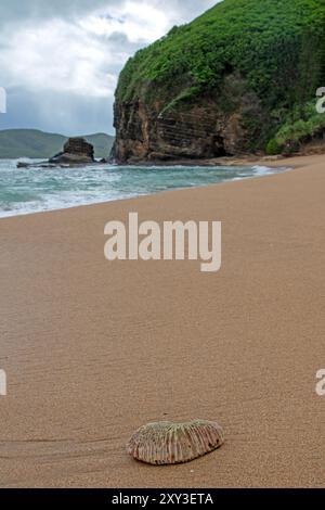 Turtle Bay, Neukaledonien Stockfoto