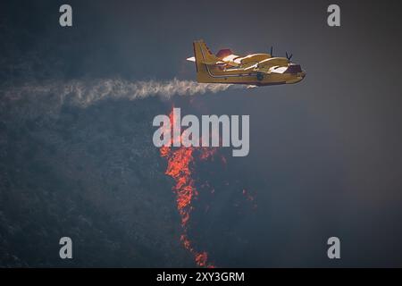 (240828) -- PEKING, 28. August 2024 (Xinhua) -- Ein Feuerwehrflugzeug wirft Wasser auf einen Waldbrand im Dorf Srinjine in der Nähe von Split, Kroatien, am 27. August 2024. (Zvonimir Barisin/PIXSELL über Xinhua) Stockfoto