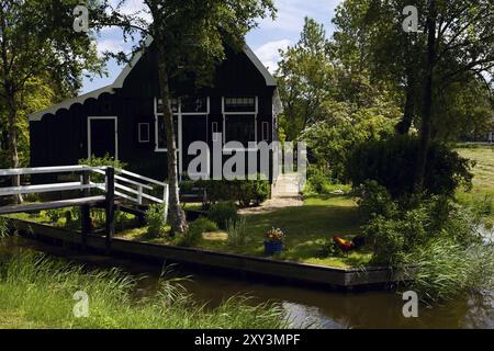 Grüner Hof in der Nähe eines kleinen Holzhauses Stockfoto