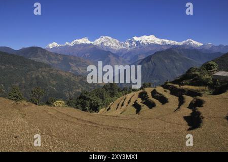 Herbstszene im Annapurna Conservation Area. Der Berg Manaslu und andere hohe Berge des Himalaya. Reisterrassen Stockfoto