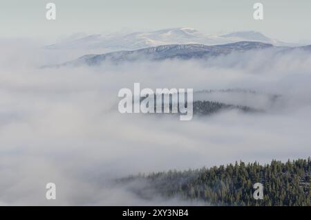 Morgennebel in Engerdalsfjellet, Hedmark Fylke, Norwegen, Oktober 2011, Europa Stockfoto