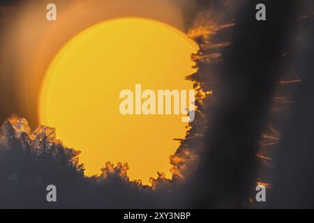 Schneekristalle bei Sonnenuntergang, Norrbotten, Lappland, Schweden, November 2013, Europa Stockfoto