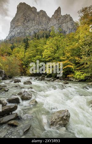 Grüner Korridor des Flusses Veral, westliche Täler, Pyrenäengebirge, Provinz Huesca, Aragon, Spanien, Europa Stockfoto