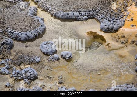 Detail eines Geysirs im Yellowstone-Nationalpark Stockfoto