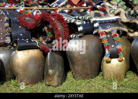 Viele bayerische Kuhglocken auf dem Gras Stockfoto