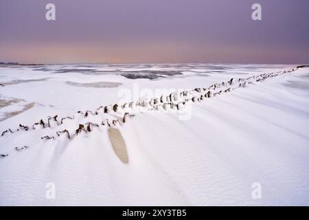 Alter Holzdeich auf dem gefrorenen Ijsselmeer in Holland Stockfoto