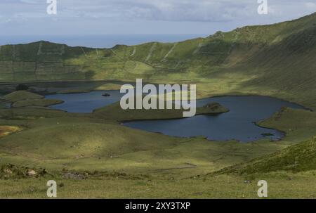 Caldera, Vulkan, Insel corvo, azoren Stockfoto