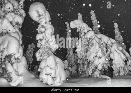 Schneefall in einer schneebedeckten Landschaft, Muddus-Nationalpark, Laponia-Weltkulturerbe, Norrbotten, Lappland, Schweden, Dezember 2012, Europa Stockfoto
