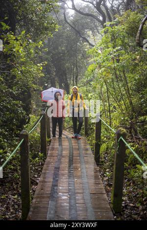 Zwei junge Frauen, Touristen mit Sonnenschirmen auf einem Holzweg durch nebeligen Regenwald, dichte Vegetation, Poas Nationalpark, zentrale Hochländer, Alajuela Stockfoto