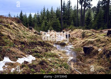 Bergbach im Winterwald, de Harz Stockfoto