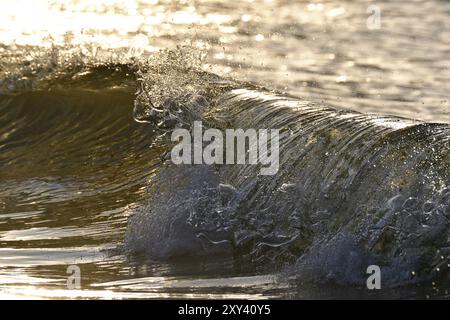 Schwenken Sie abends im Hintergrund Stockfoto