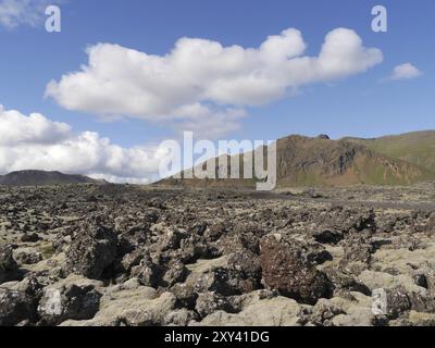 Berserkkjahraun Lavafeld auf Snaefellsnes in Island Stockfoto