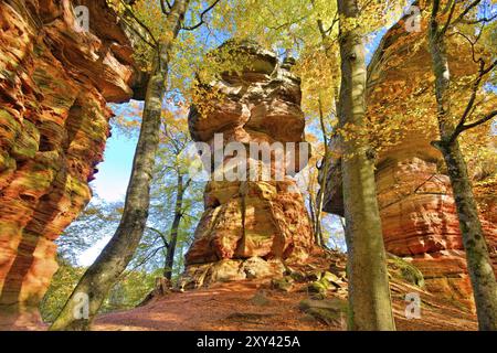 Altes Burggestein im Dahner Felsenland im Herbst, altes Burggestein im Dahn Rockland im Herbst, Deutschland, Europa Stockfoto