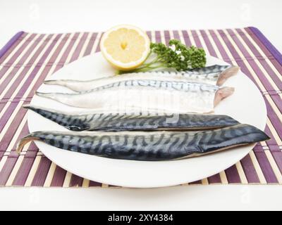 Rohe Makrelenfilets mit einer halben Zitrone und grüner Petersilie auf weißem Teller über violetter Holzplatte Stockfoto