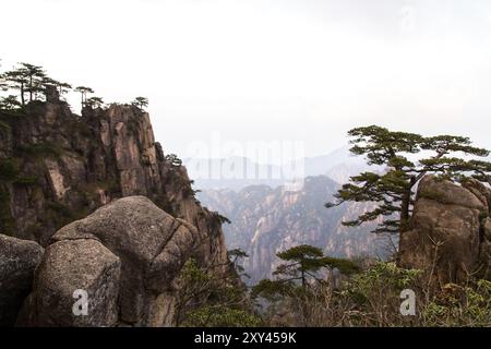 Bizzare-Felsformationen in Huang Shan, China, Asien Stockfoto