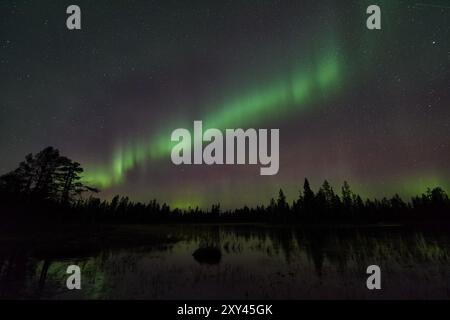 Nordlichter (Aurora borealis), Muddus-Nationalpark, Lapnia-Weltkulturerbe, Norrbotten, Lappland, Schweden, Oktober 2015, Europa Stockfoto