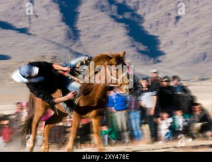 Kasachische Adlerjäger treten beim Tiyn Teru - Münzabholer-Pferderennen in der Region Altai in der Westmongolei an. Stockfoto