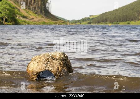 Ein Stein ausgewaschen von Llyn Geirionydd in der Nähe von Llanwrst, Conwy, Wales, Großbritannien Stockfoto