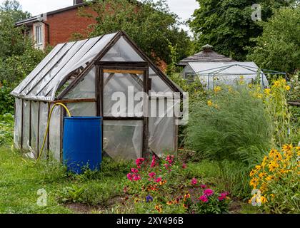 Landschaft mit einem Gewächshaus in einem kleinen Garten, verschiedene schöne Blumen schmücken den Garten, Gärtnerkonzept, Sommer Stockfoto