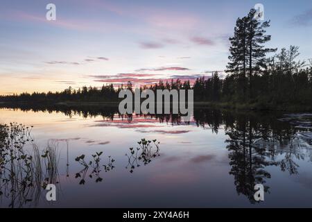 Abendstimmung an einem Waldsee, Norrbotten, Lappland, Schweden, August 2013, Europa Stockfoto