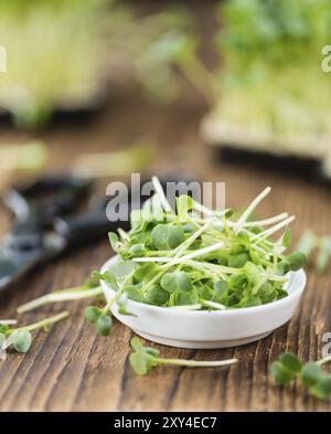 Teil der Fresh Cutted Cress (Nahaufnahme, selektiver Fokus) Stockfoto