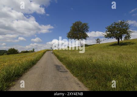 In der Nähe von Basel, Schweiz, 4. Mai 2014, Foto einer kleinen Straße, die durch ein grünes Feld führt, Europa Stockfoto