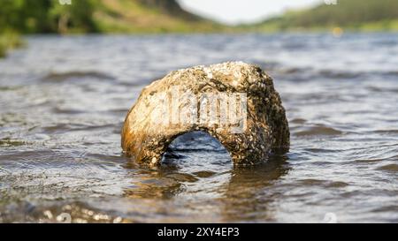 Ein Stein ausgewaschen von Llyn Geirionydd in der Nähe von Llanwrst, Conwy, Wales, Großbritannien Stockfoto