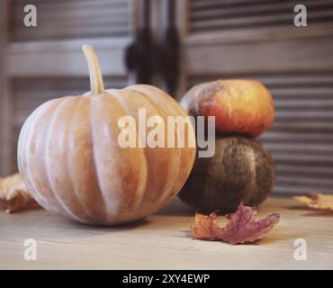 Im Herbst Kürbisse mit Blättern auf Holztisch. Herbst Gedeck. Thanksgiving Stockfoto