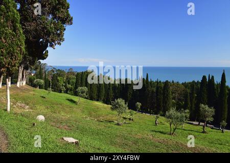 Die Natur in Abchasien in der Nähe des Neuen Athos Stockfoto