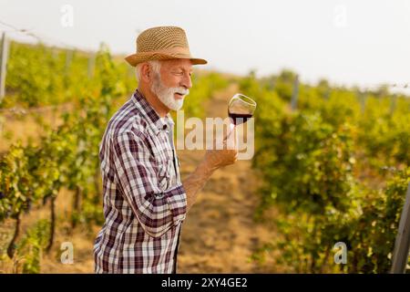 Der Hausmeister hält ein Glas tiefen Rotweins und lächelt, während er zwischen den Reihen von Weinreben steht, die vom sanften Leuchten der untergehenden Sonne beleuchtet werden Stockfoto