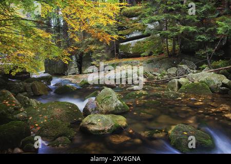 Bach im herbstlichen Bergwald, Nationalpark Riesengebirge (Karkonoski Park Narodowy), Polen, Europa Stockfoto