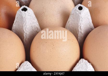 Nahaufnahme einer Karton-Box mit sechs Eiern innerhalb Stockfoto