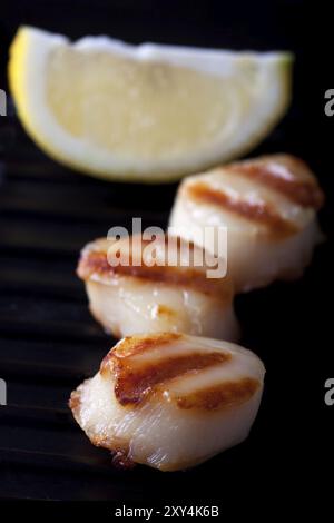 Nahaufnahme von zwei gegrillten Jakobsmuscheln Stockfoto