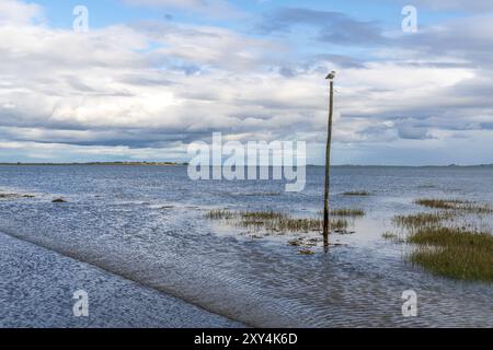 Blick von der überfluteten Straße zwischen Beal und die Heilige Insel von Lindisfarne in Northumberland, England, Großbritannien Stockfoto