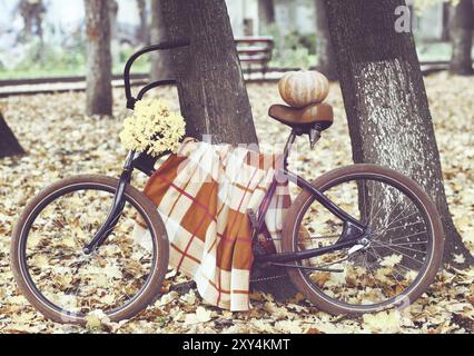 Oldtimer Fahrrad dekoriert mit Pumpking und Blumen im Herbst park Stockfoto