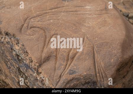 Petroglyphen eines Onyx, Ait Ouazik Felsenlandschaft, spätneolithisches, Marokko, Afrika Stockfoto