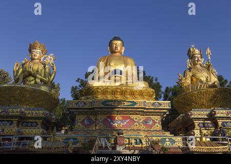 Kathmandu, Nepal, 20. Oktober 2014: Große goldene Statuen im Amideva Buddha Park, Asien Stockfoto