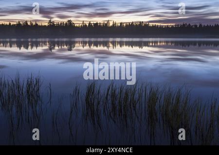 Abendstimmung an einem Waldsee, Norrbotten, Lappland, Schweden, August 2013, Europa Stockfoto