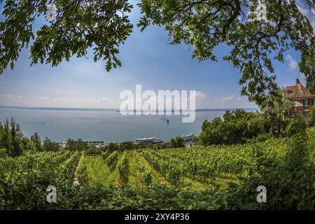 Blick über die Weinberge von Meersburg unten am See können Sie die Anlegestelle der Bodensee-Fähre sehen Stockfoto