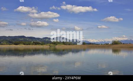 Idyllische Frühlingsszene am Pfaffikon-See. Landschaft im Kanton Zürich, Schweiz, Europa Stockfoto