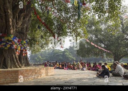 Lumbini, Nepal, 27. November 2014: Pilger beten unter dem Bodhi-Baum am Buddhas Birtplace, Asien Stockfoto